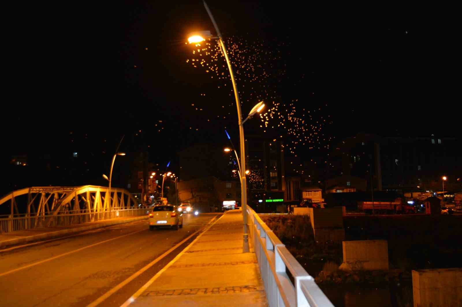 Ardahan&rsquo;da &rsquo;bir g&uuml;nl&uuml;kler&rsquo;in &ouml;l&uuml;m u&ccedil;uşu başladı
