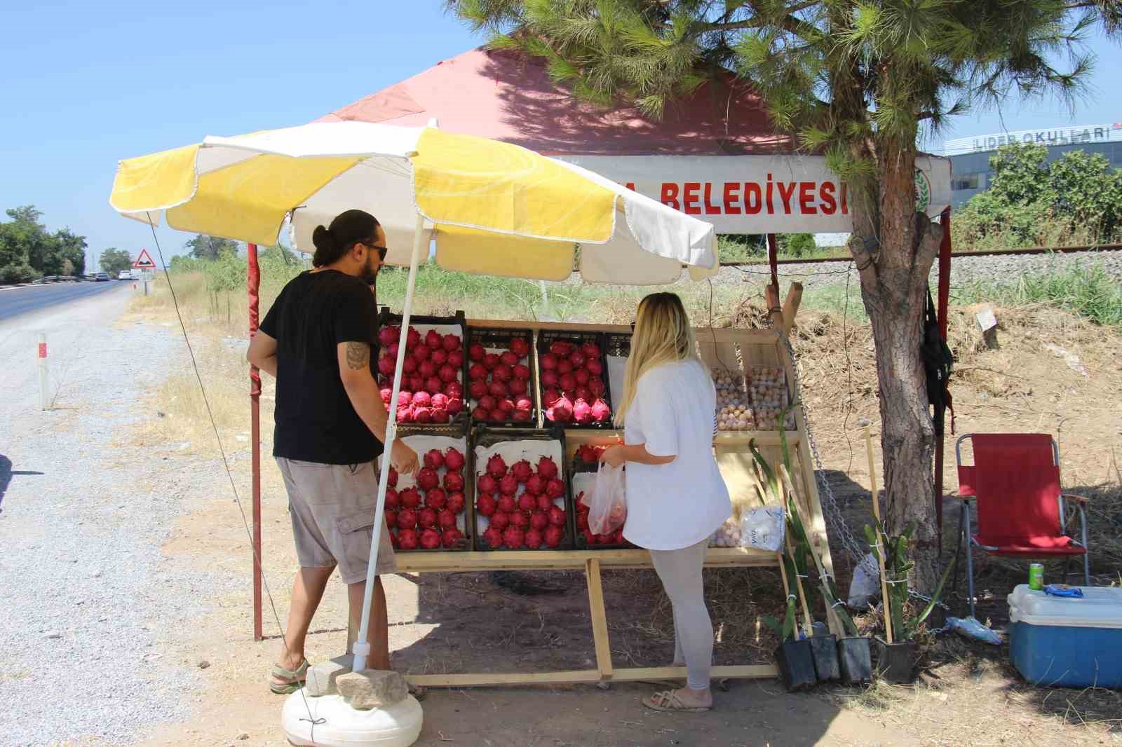 Yediği meyve hayatını değiştirdi, kendi işinin patronu oldu