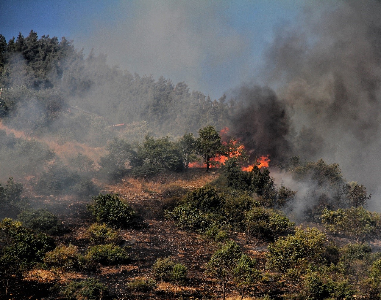 Kahramanmaraş&rsquo;ta orman yangını kontrol altına alındı
