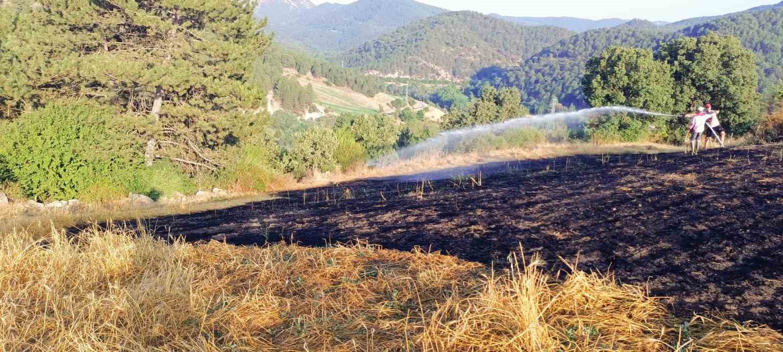 Tarla yangını ormana sıçramadan köylüler tarafından söndürüldü