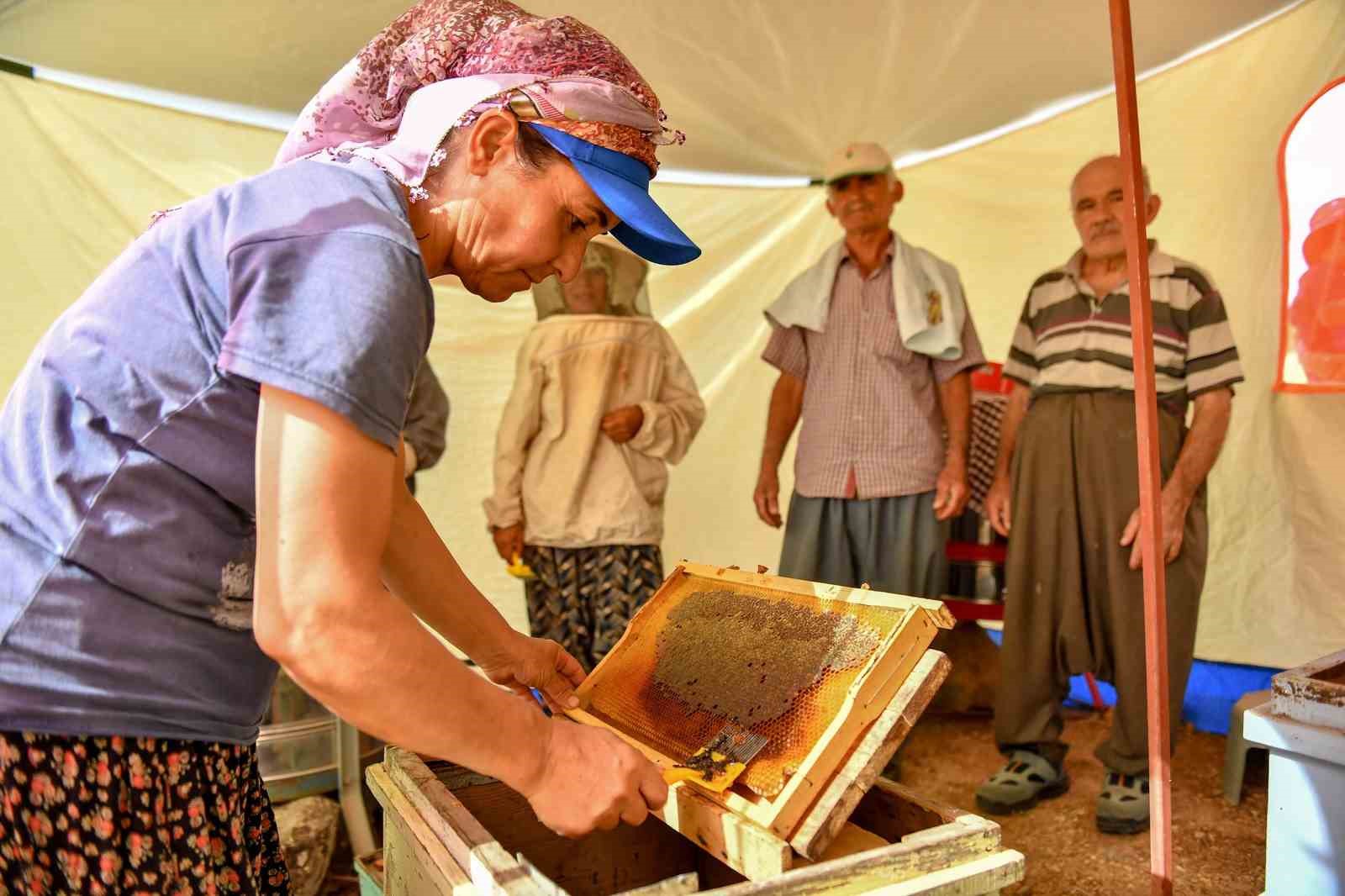 Mersin Büyükşehir Belediyesinden arıcılara çadır desteği