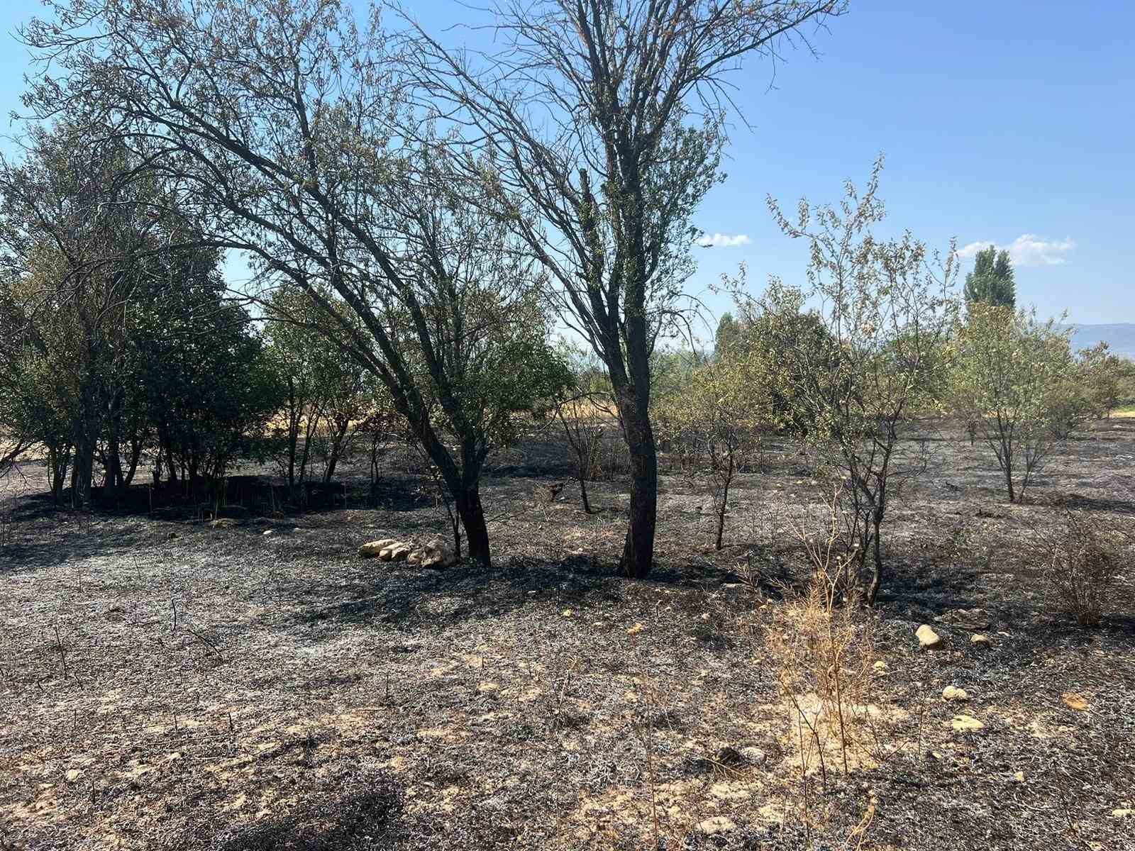 Burdur’da 100 adet meyve ağacı ve 50 dönüm arazi yandı