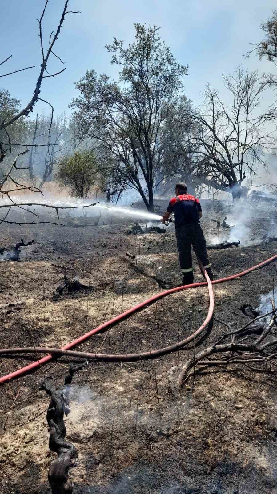 Burdur&rsquo;da 100 adet meyve ağacı ve 50 d&ouml;n&uuml;m arazi yandı
