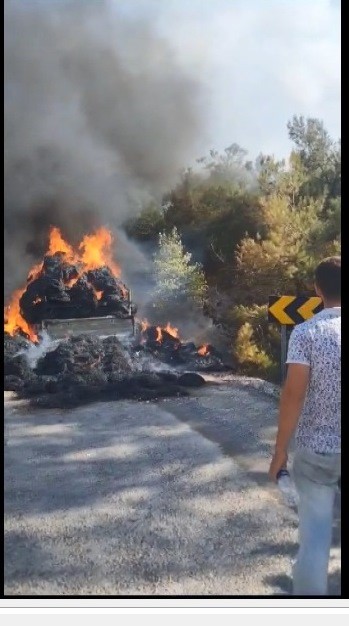 Balıkesir’de 30 hektarı kül eden yangın böyle başladı