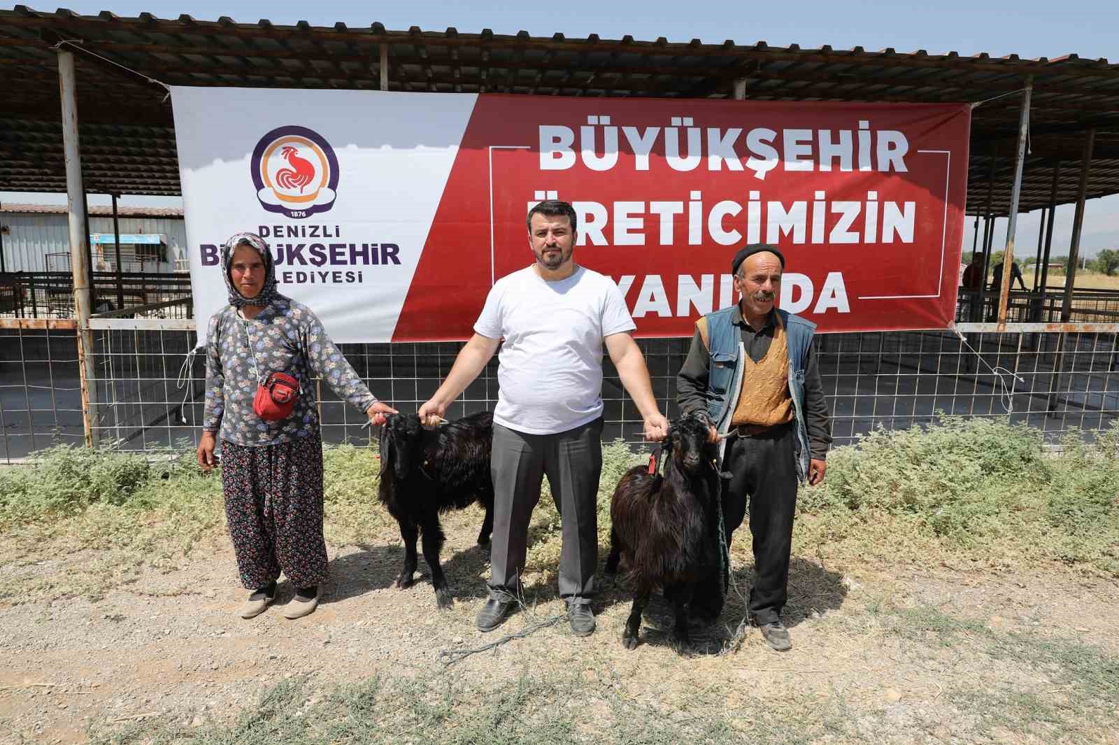 Denizli’de 489 üreticiye 978 adet damızlık koç ve teke hibe edildi