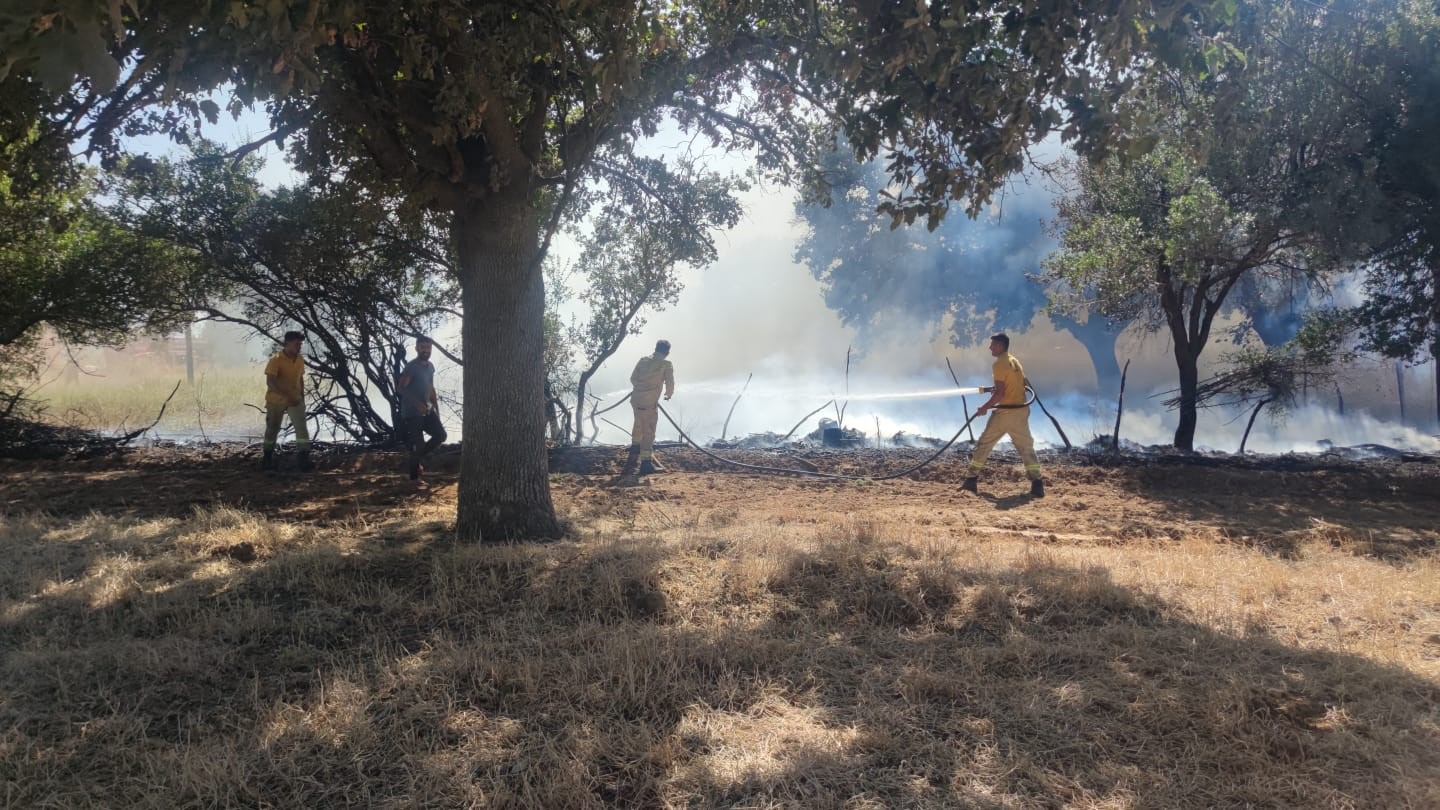 Ayvacık&rsquo;ta ziraat alanında &ccedil;ıkan yangın kontrol altına alındı
