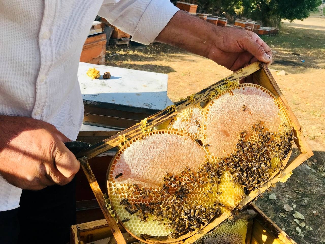 Merakla başladığı arıcılıkta, 70 kovandan binlerce kilo "Gülbal" üretiyor