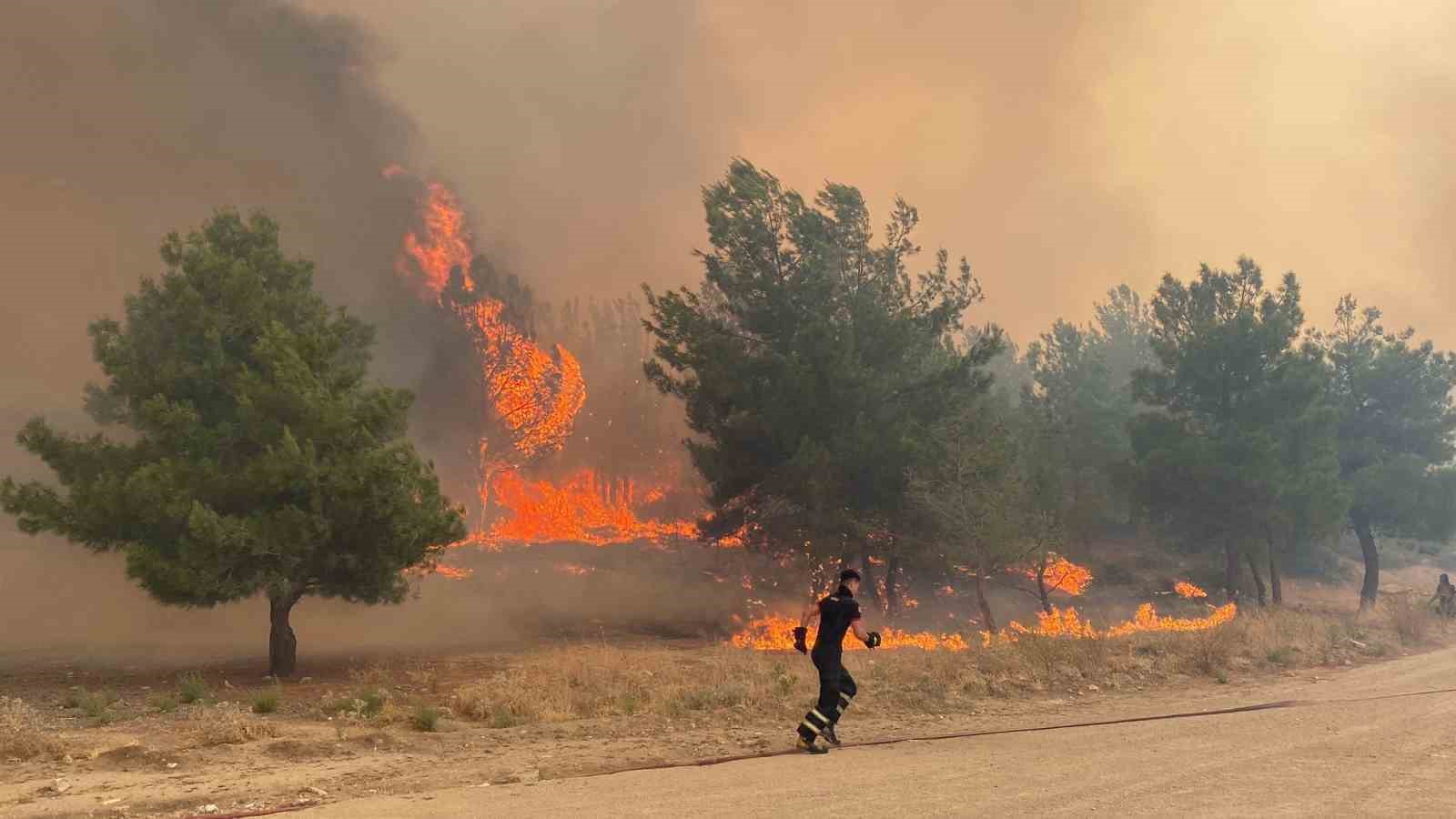 Çanakkale’deki orman yangınında köylüler hayvanlarını kurtarmaya çalışıyor