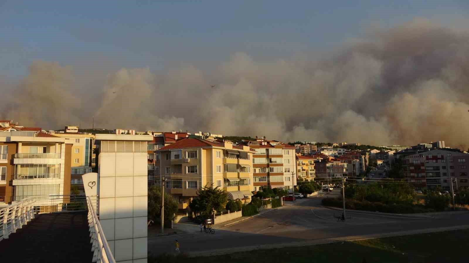 &Ccedil;anakkale&rsquo;de orman yangını nedeniyle şehir merkezi adeta dumanla kaplandı 