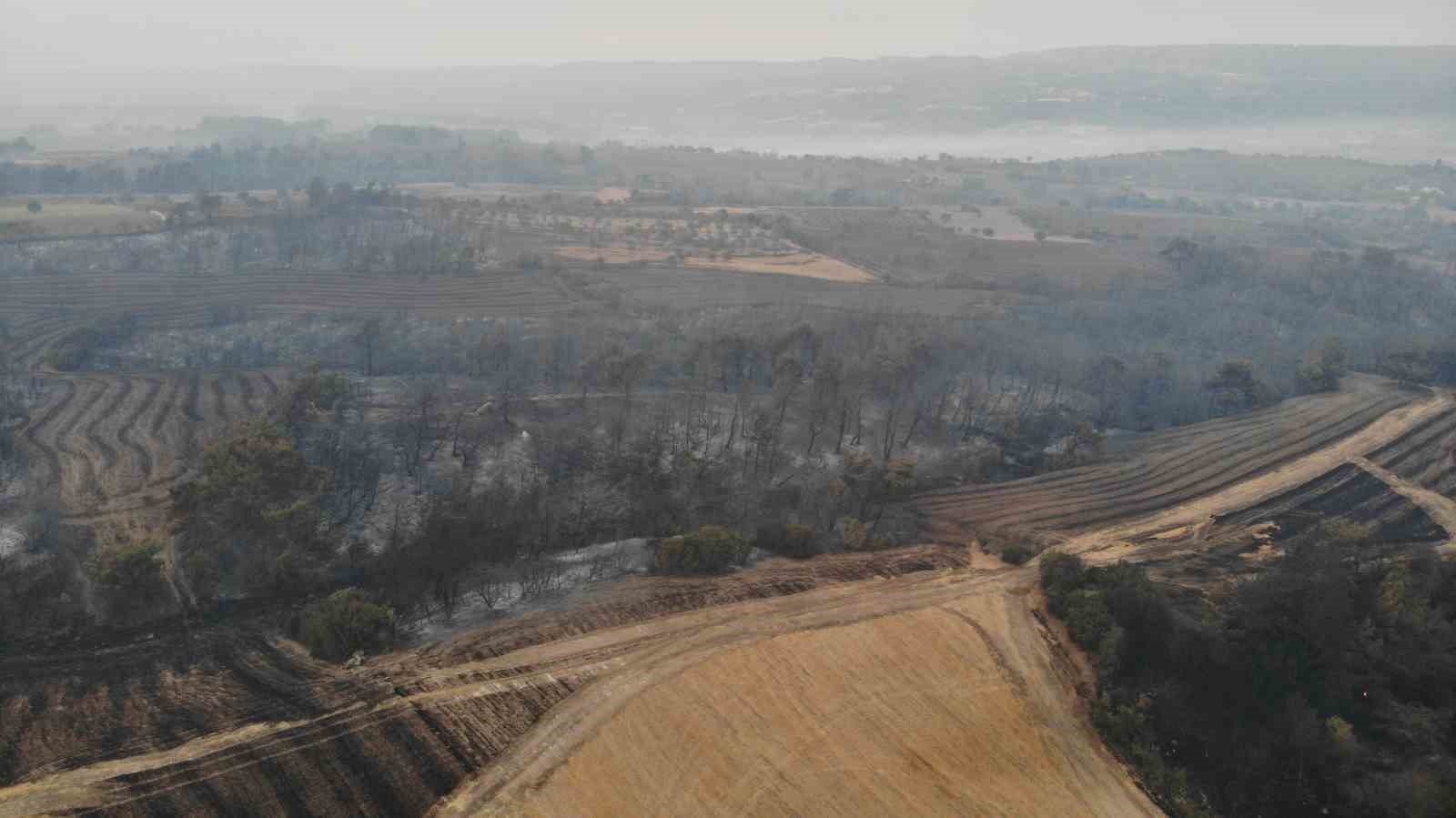 Çanakkale’de yangının boyutu gün ağarınca ortaya çıktı