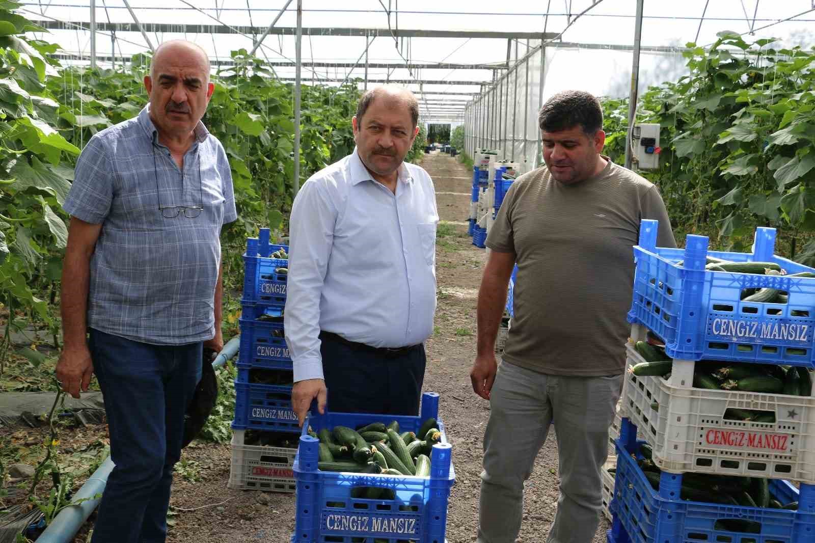 Genç girişimciler Erzincan’da tarıma yatırım yapıyor 