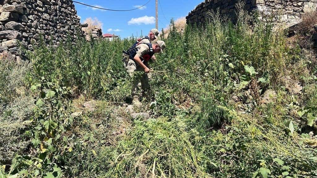 Kars’ta jandarmadan zehir tacirlerine darbe