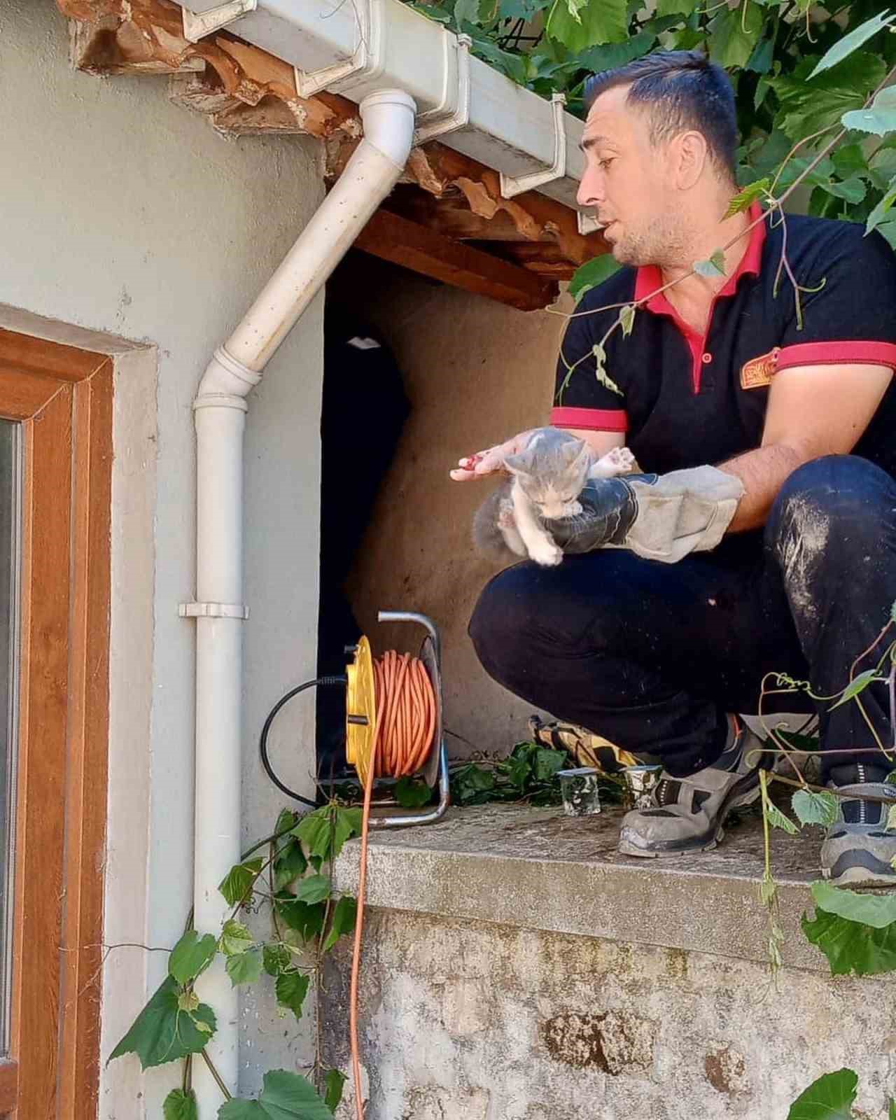 Kırklareli&rsquo;nde iki apartman arasında sıkışan yavru kedi kurtarıldı
