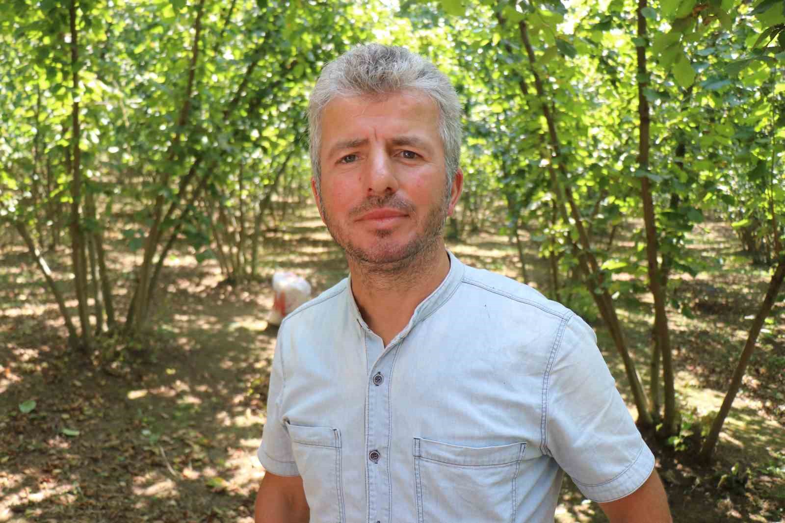 Sakarya’da fındık hasadı
