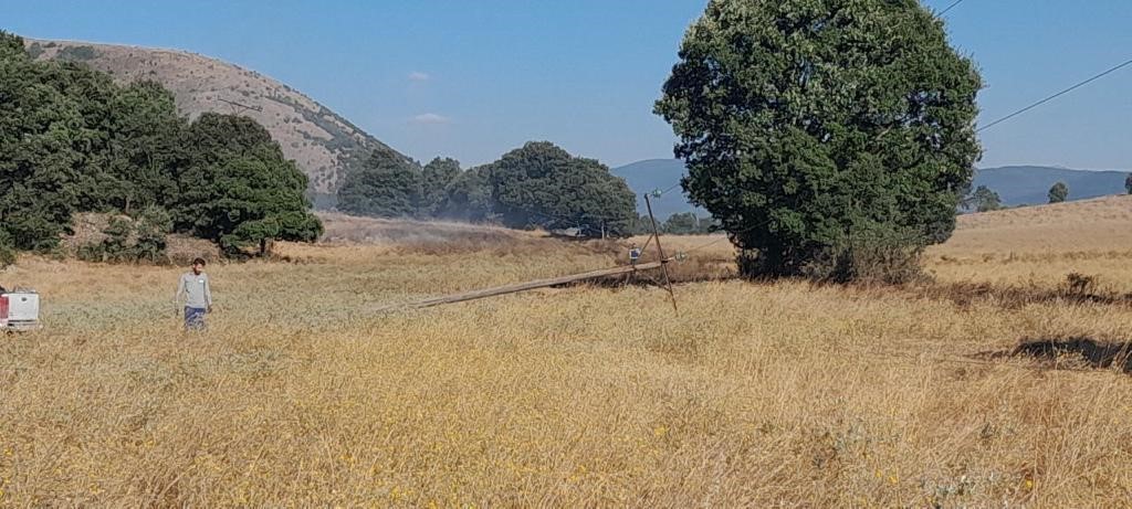 Tokat&rsquo;ta faciadan d&ouml;n&uuml;ld&uuml;, alevler ormana sı&ccedil;ramadan s&ouml;nd&uuml;r&uuml;ld&uuml;
