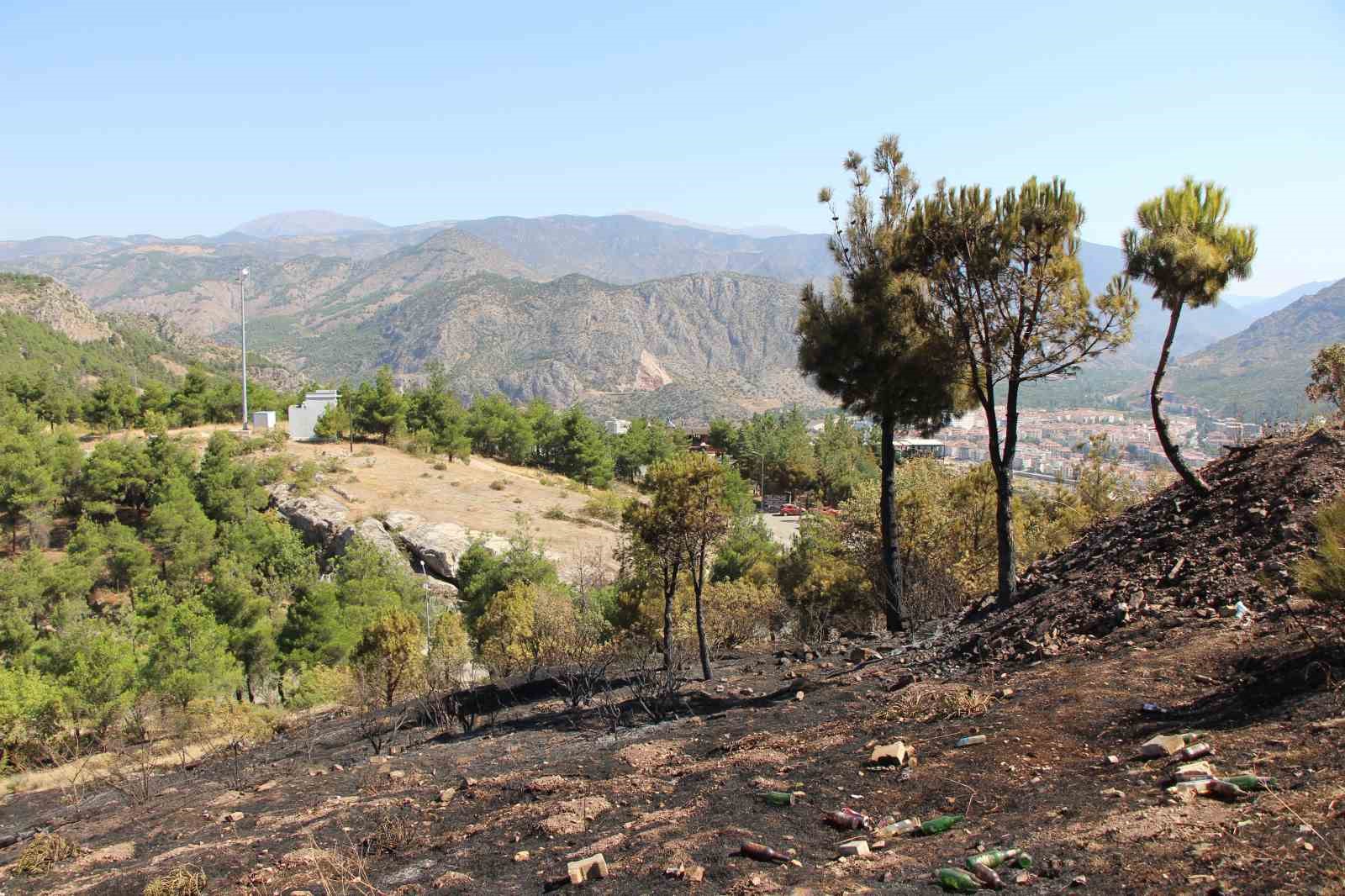 Başkan Çelik açıkladı: 'Amasya Kalesi surları yangında zarar görmedi'