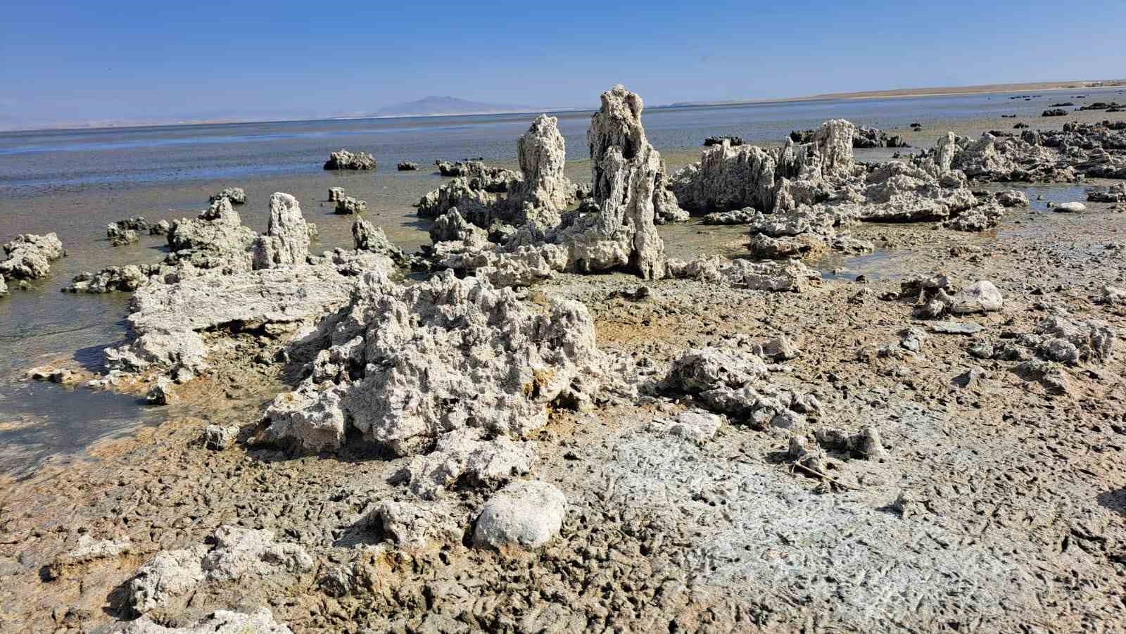Suların &ccedil;ekilmesiyle Van G&ouml;l&uuml; sahilleri bataklığa d&ouml;n&uuml;şt&uuml;
