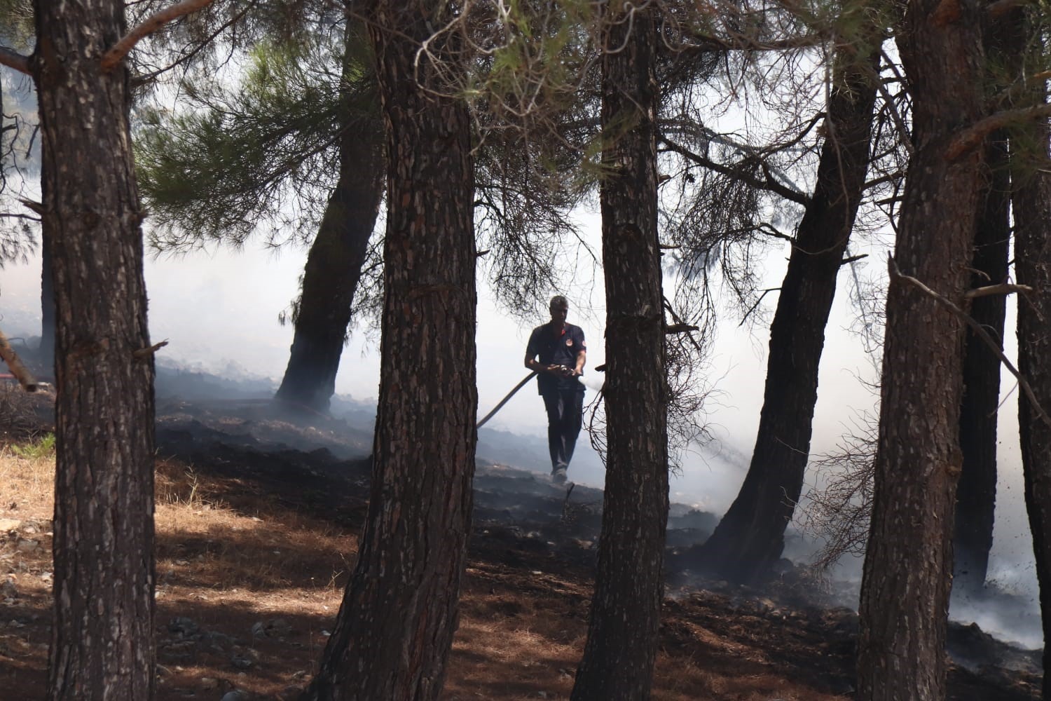 Kahramanmaraş&rsquo;taki orman yangınında bir kişi g&ouml;zaltına alındı
