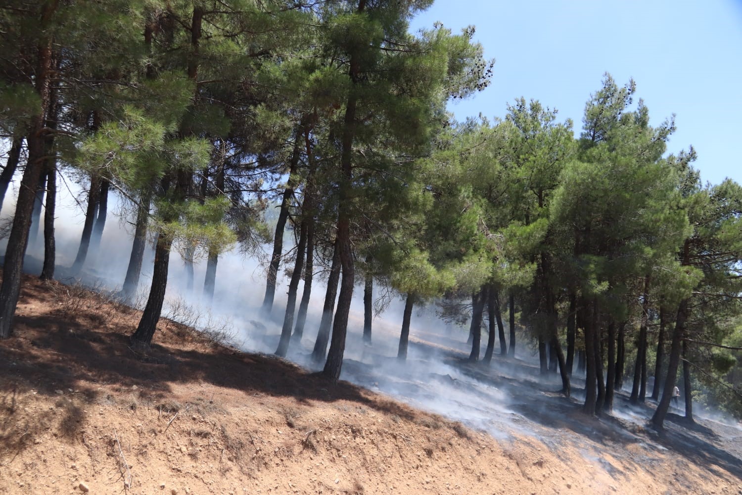 Kahramanmaraş’taki orman yangını kontrol altına alındı