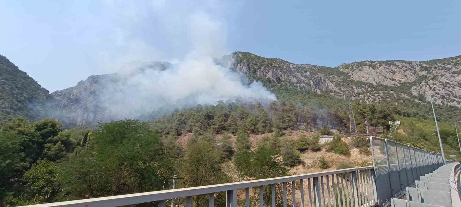 Bilecik’te çıkan orman yangını kontrol altına alınmaya çalışılıyor