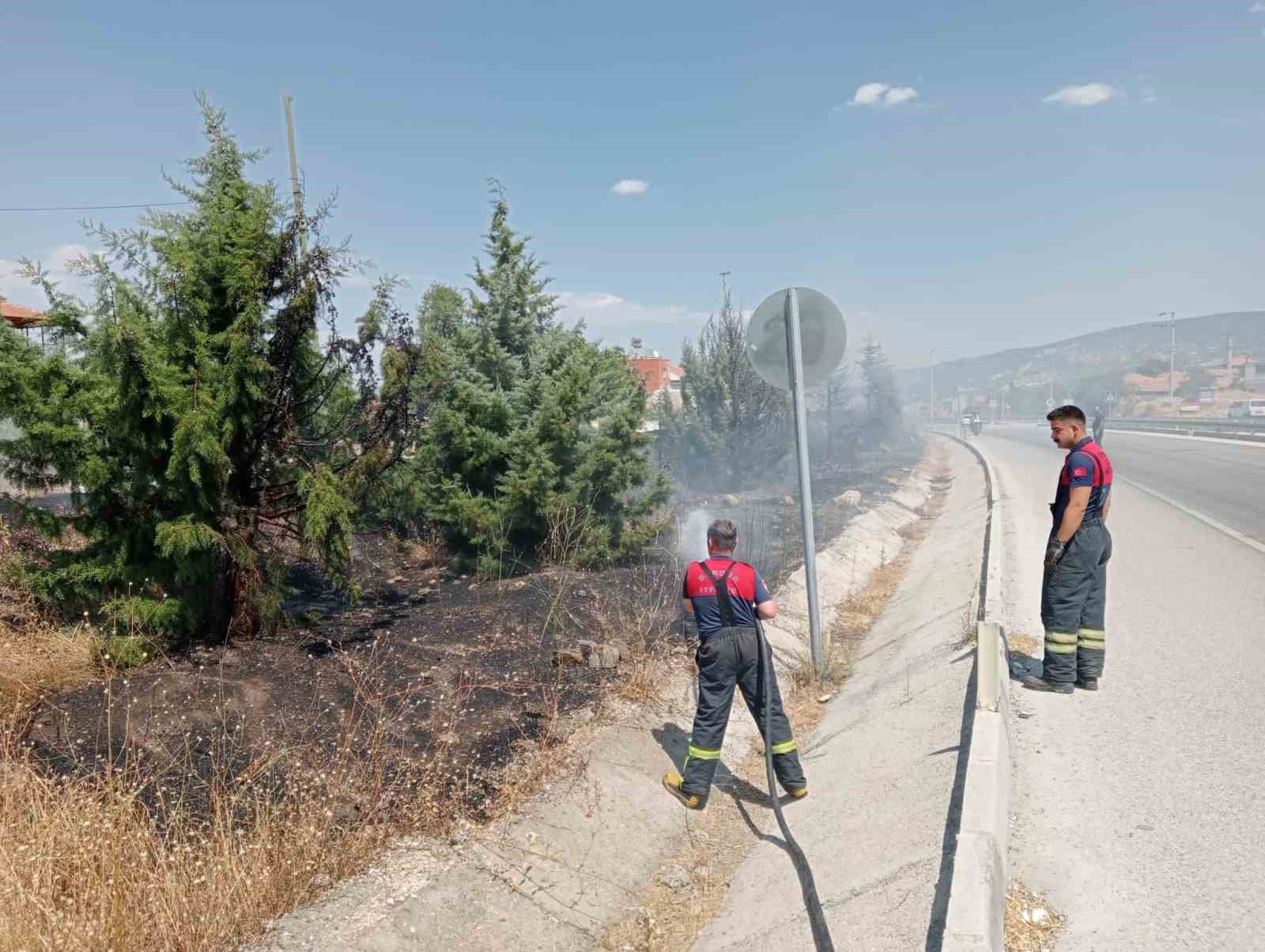 Araçtan atılan sigara izmariti yangına sebep oldu