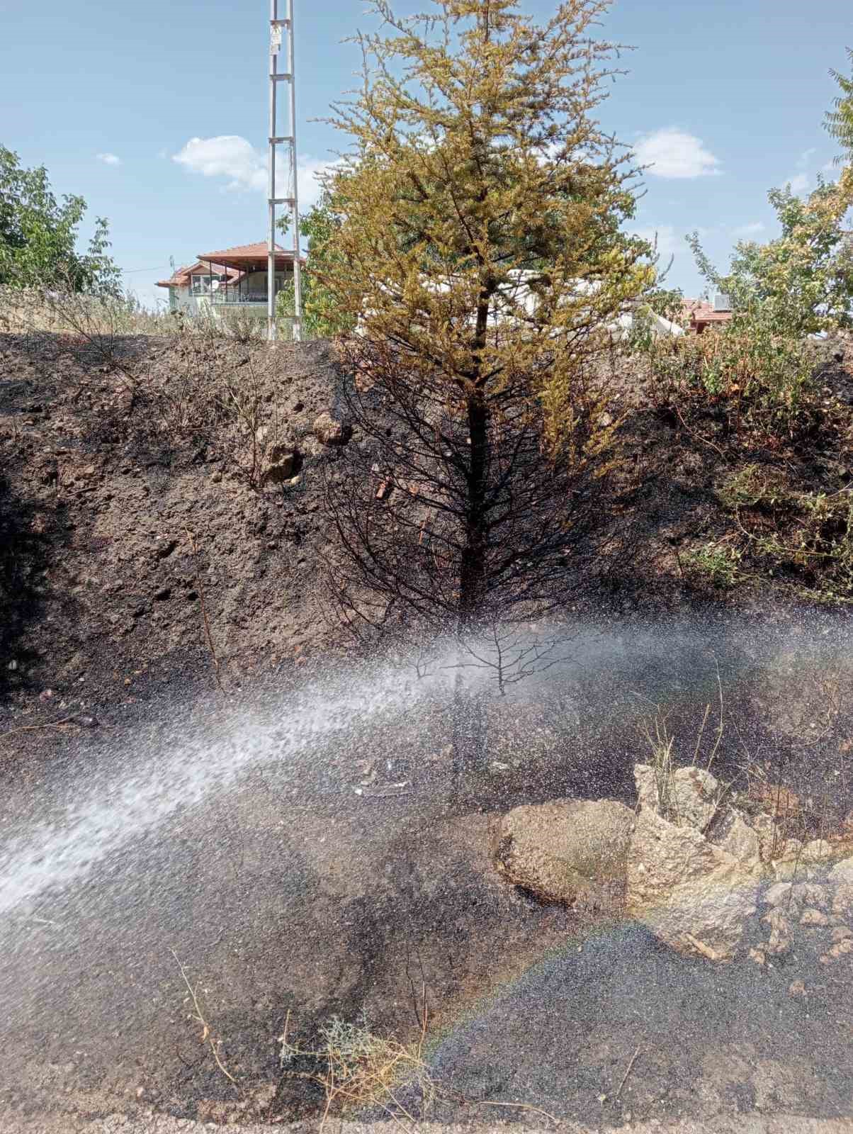 Ara&ccedil;tan atılan sigara izmariti yangına sebep oldu
