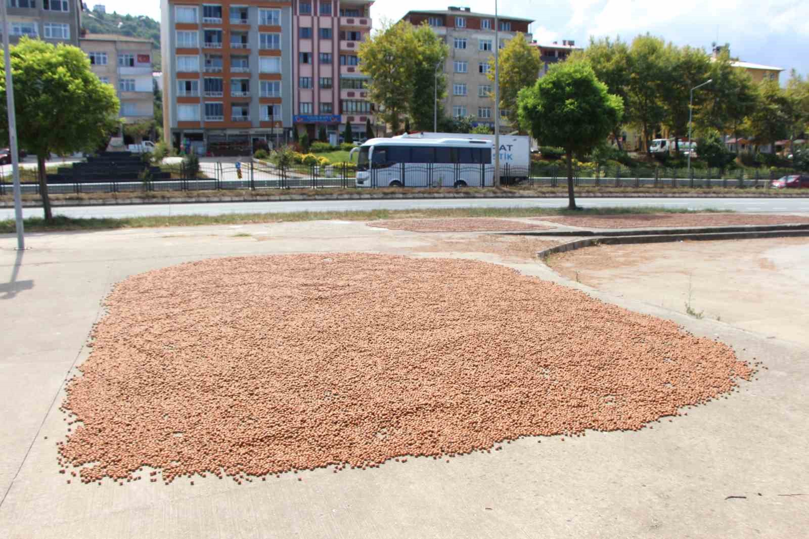 En b&uuml;y&uuml;k korkuları yağmurun yağması

