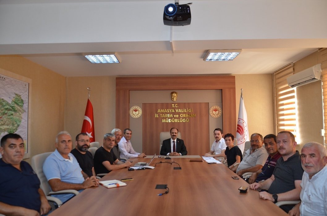 Amasya'da domates hasadını 'tuta' vurdu, tonlarca ürün zarar gördü