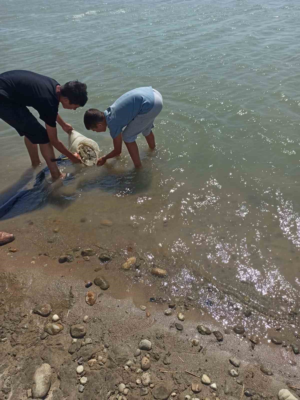 Edirne&rsquo;de yavru sazan balıklar su ile buluştu
