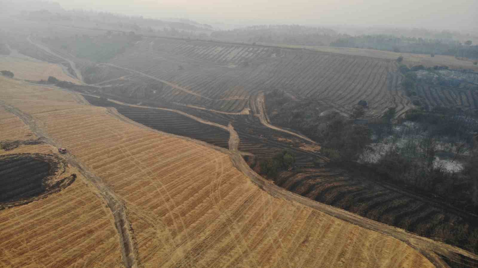 (Özel) Çanakkale’deki orman yangınlarında 5 bin 712 futbol sahası büyüklüğünde alan yandı