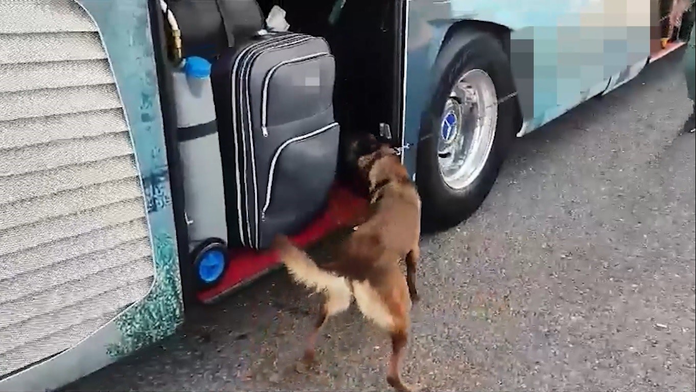 Gaziantep’te 6 kilo 450 gram skunk ele geçirildi
