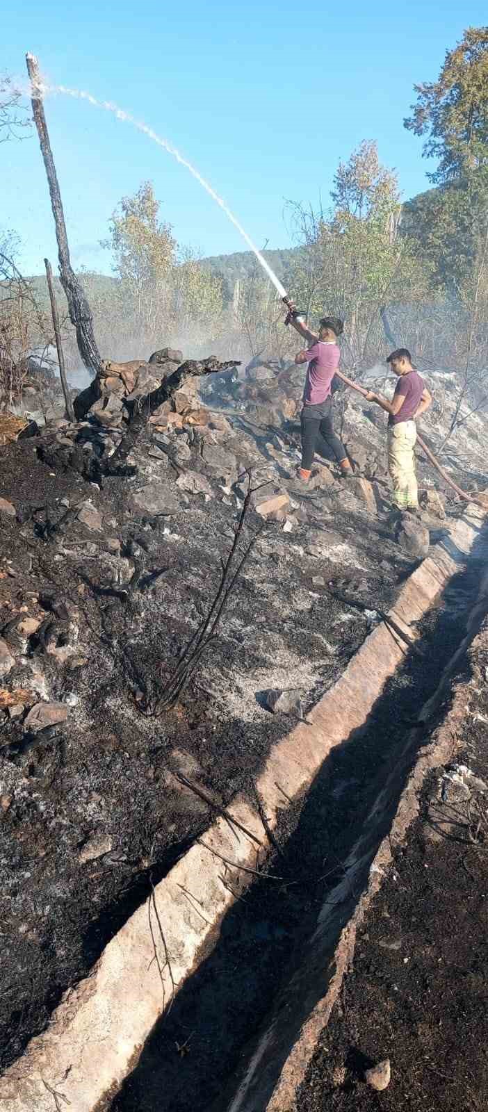 Kaynaktan &ccedil;ıkan kıvılcım bah&ccedil;e ve &uuml;z&uuml;m bağlarını k&uuml;l etti

