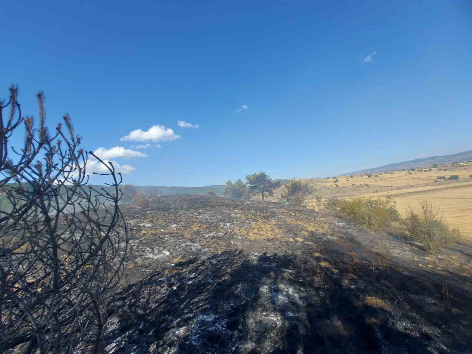 5 dönümlük otluk arazi küle döndü
