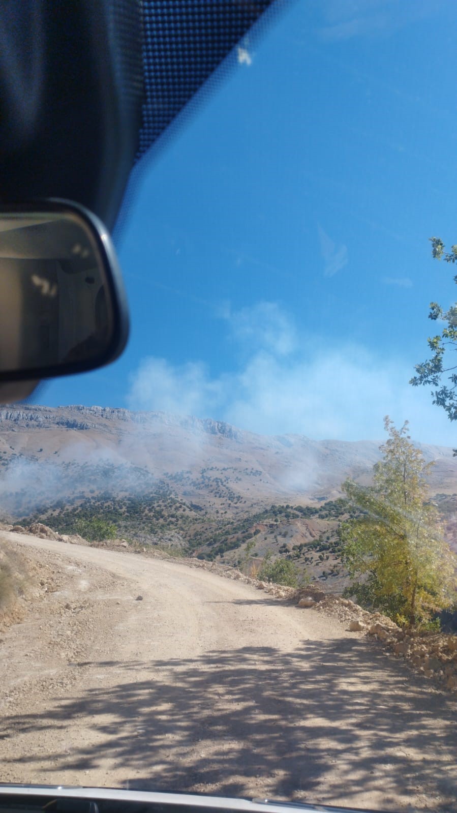 Malatya’da orman yangını, 1 yaralı