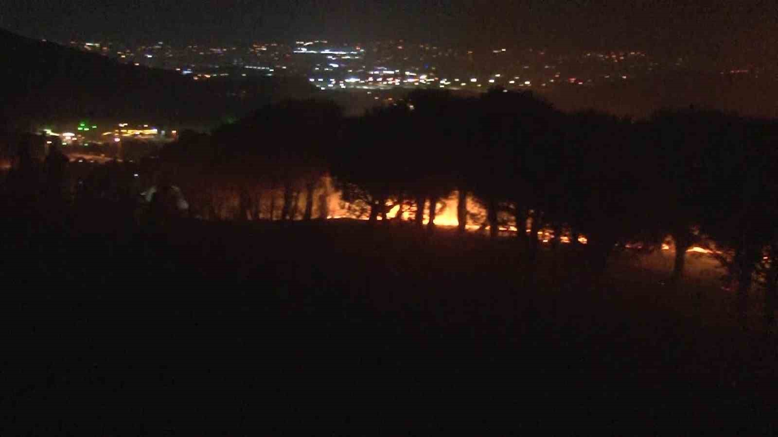 Maltepe’de çıkan orman yangını kontrol altına alındı, 3 hektar alan zarar gördü