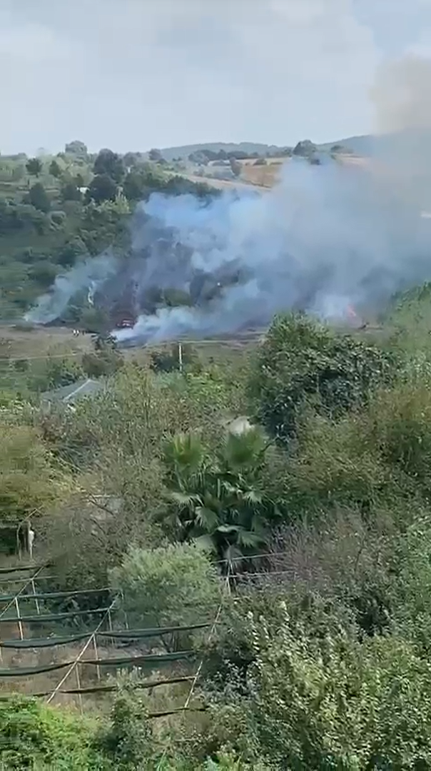 Yalova’da korkutan anız yangını