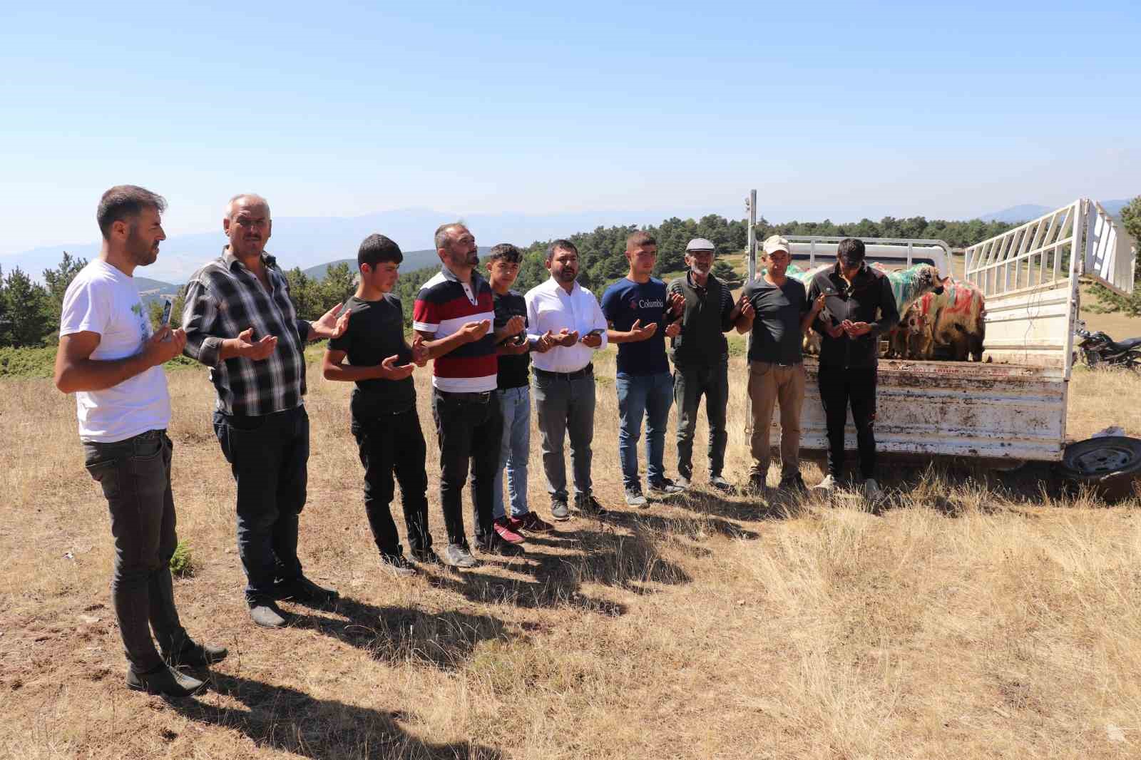 Karakaya Ko&ccedil;larını damat gibi s&uuml;sledi, koyun s&uuml;r&uuml;s&uuml;ne dahil etti
