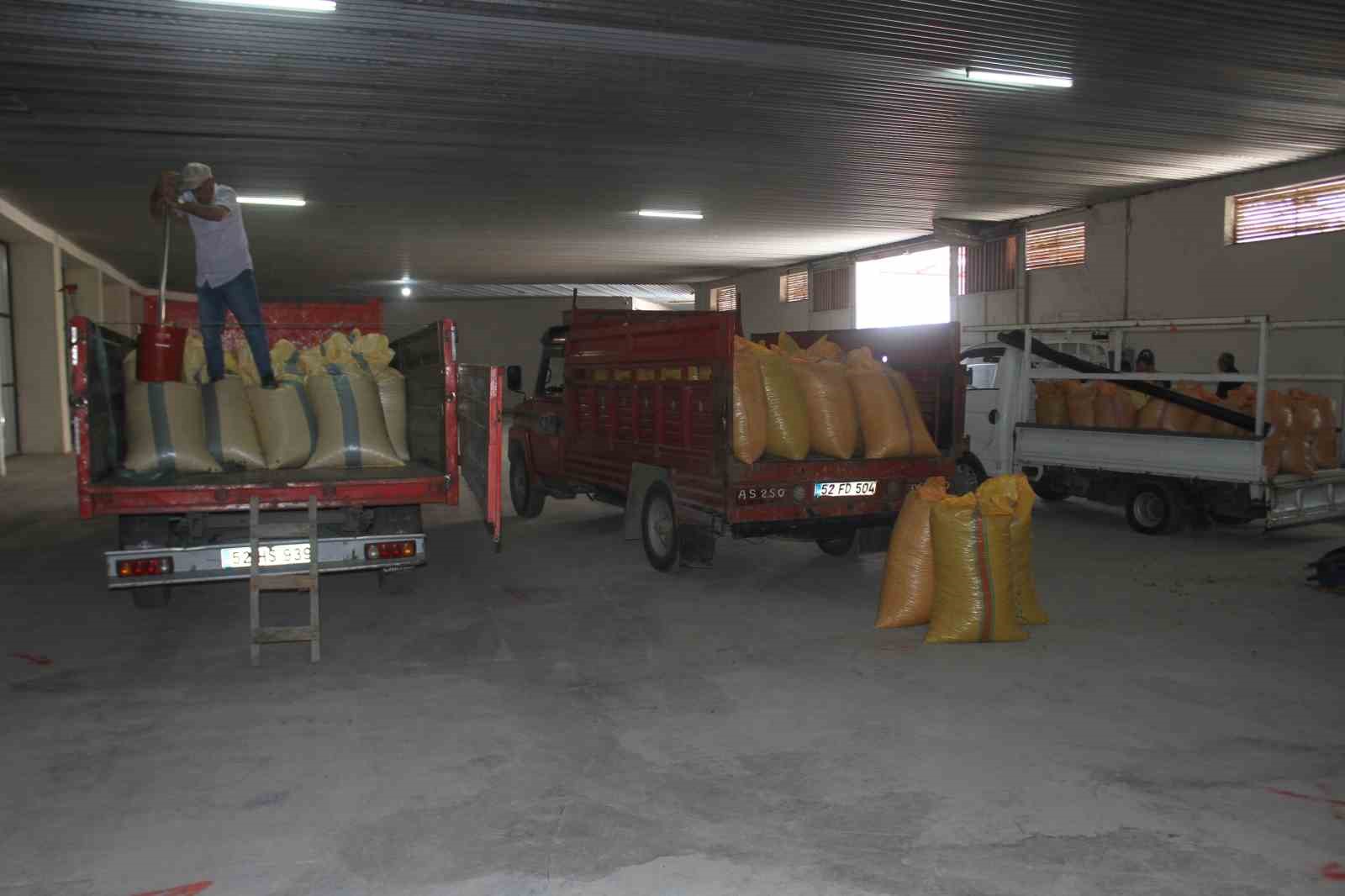 TMO Ordu&rsquo;da fındık alımlarına başladı: İlk fındık 90 liradan satıldı
