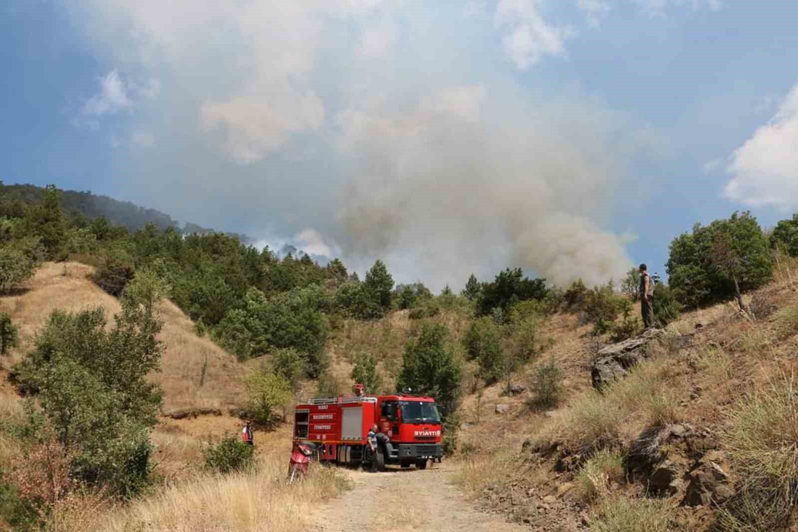 Çankırı’daki orman yangını kontrol altına alındı