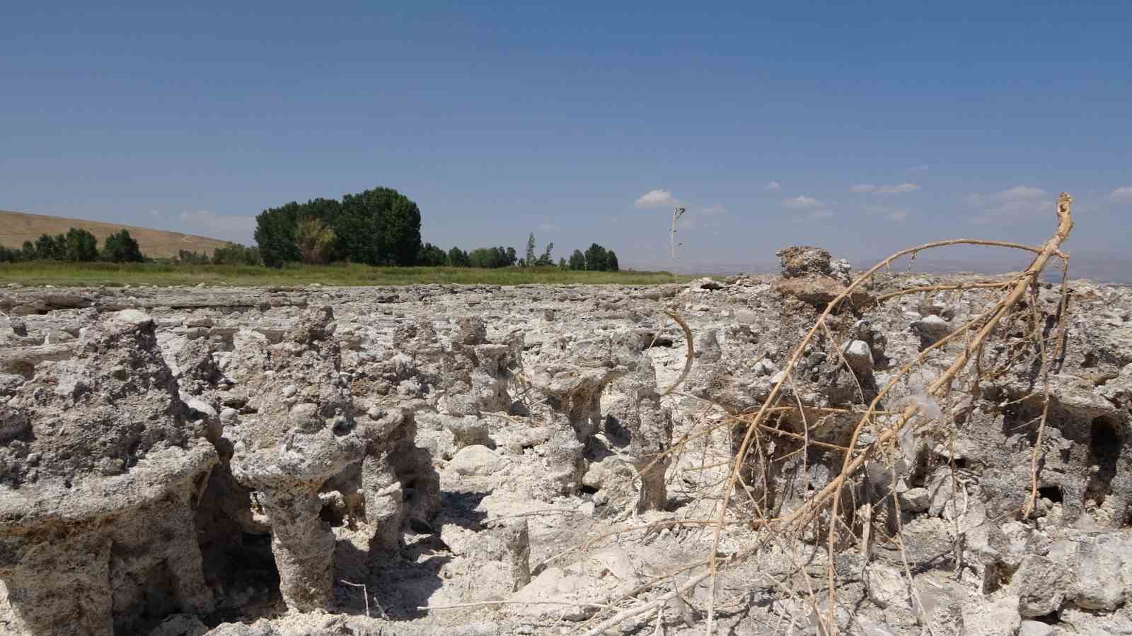Van G&ouml;l&uuml;&rsquo;nde sular &ccedil;ekilince yeni mikrobiyalitler ortaya &ccedil;ıktı
