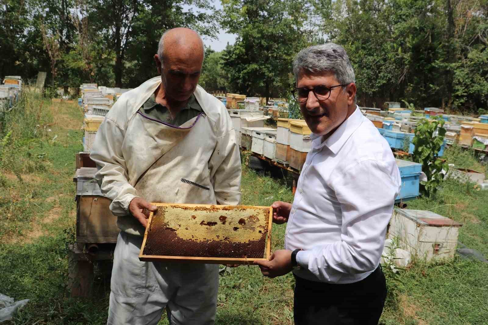 Ağrılı arıcılar tescilli "geven balı" hasadını sürdürüyor