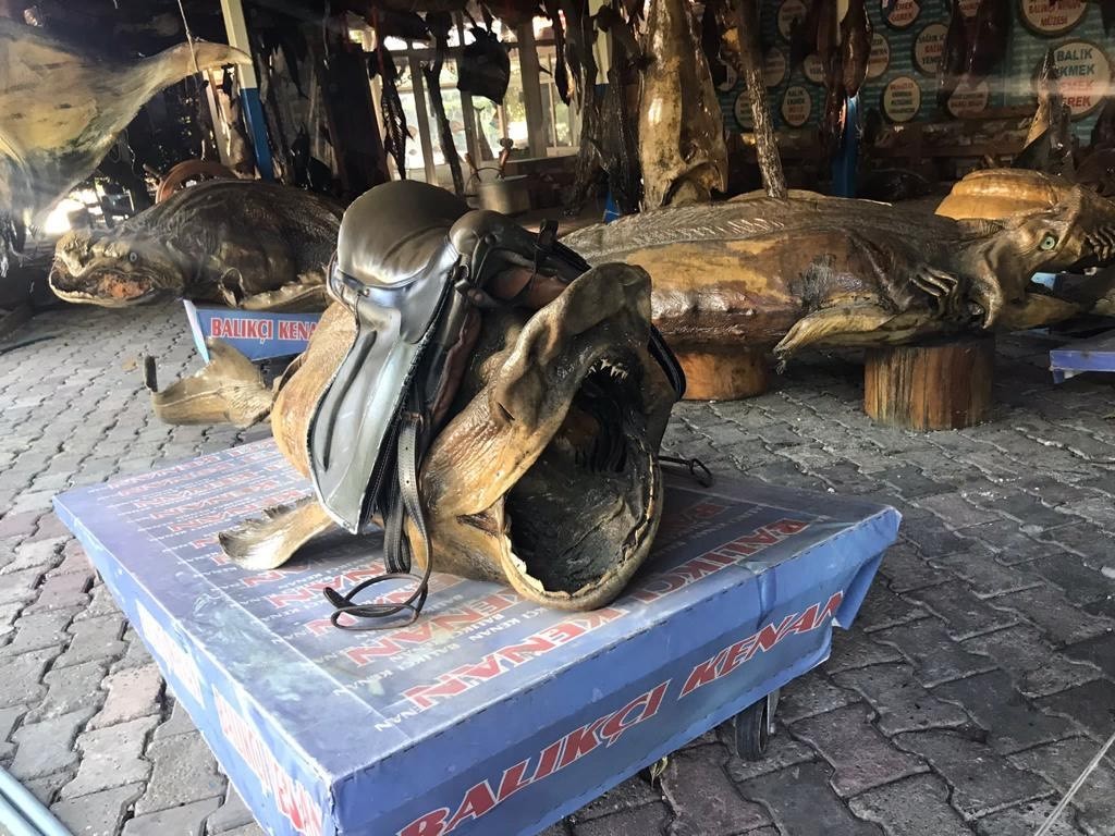 Araştırmacı Yazar İhsan Aktaş Türkiye Deniz Canlıları Müzesi’ni ziyaret etti