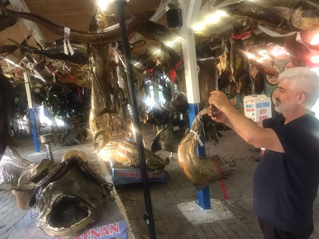 Araştırmacı Yazar İhsan Aktaş T&uuml;rkiye Deniz Canlıları M&uuml;zesi&rsquo;ni ziyaret etti
