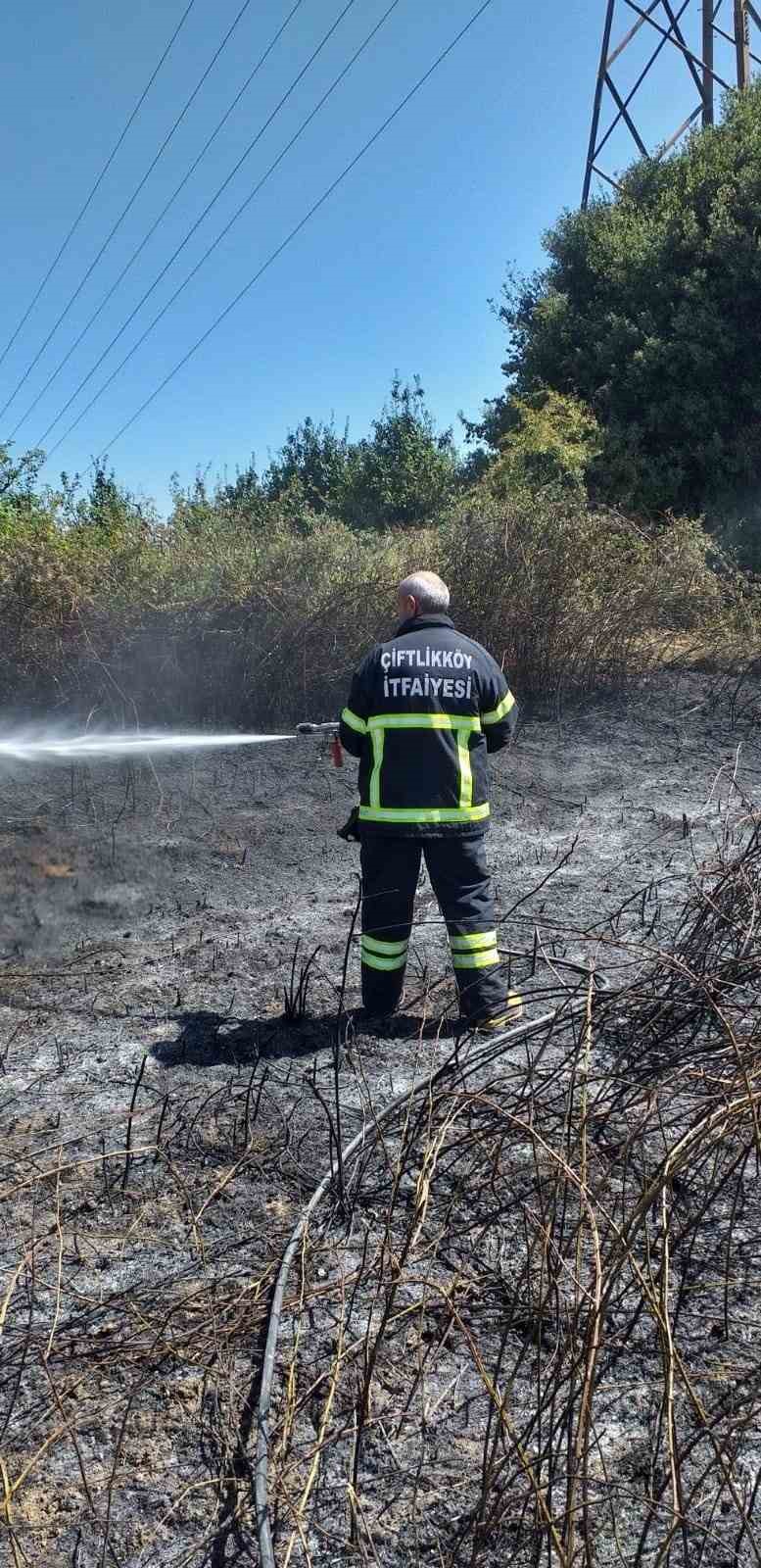 Yalova’da arazi yangını