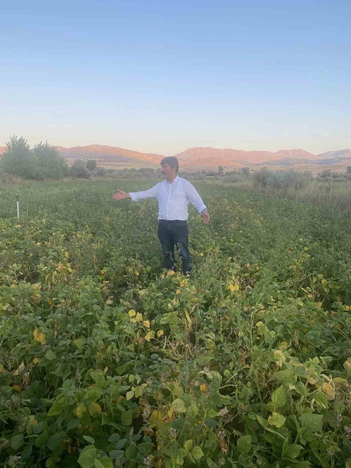 Tufanbeyli Fasulyesi Festivali i&ccedil;in g&uuml;n sayıyor
