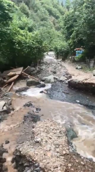 Artvin’de etkili olan sağanak yağış sonrası Hatila Vadisi Milli Parkı’na ulaşım sağlanamıyor