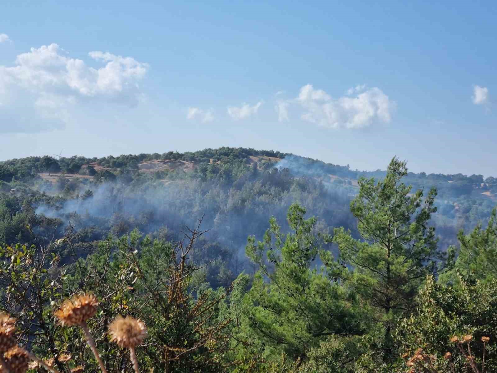 &Ccedil;an&rsquo;daki orman yangını kontrol altına alındı
