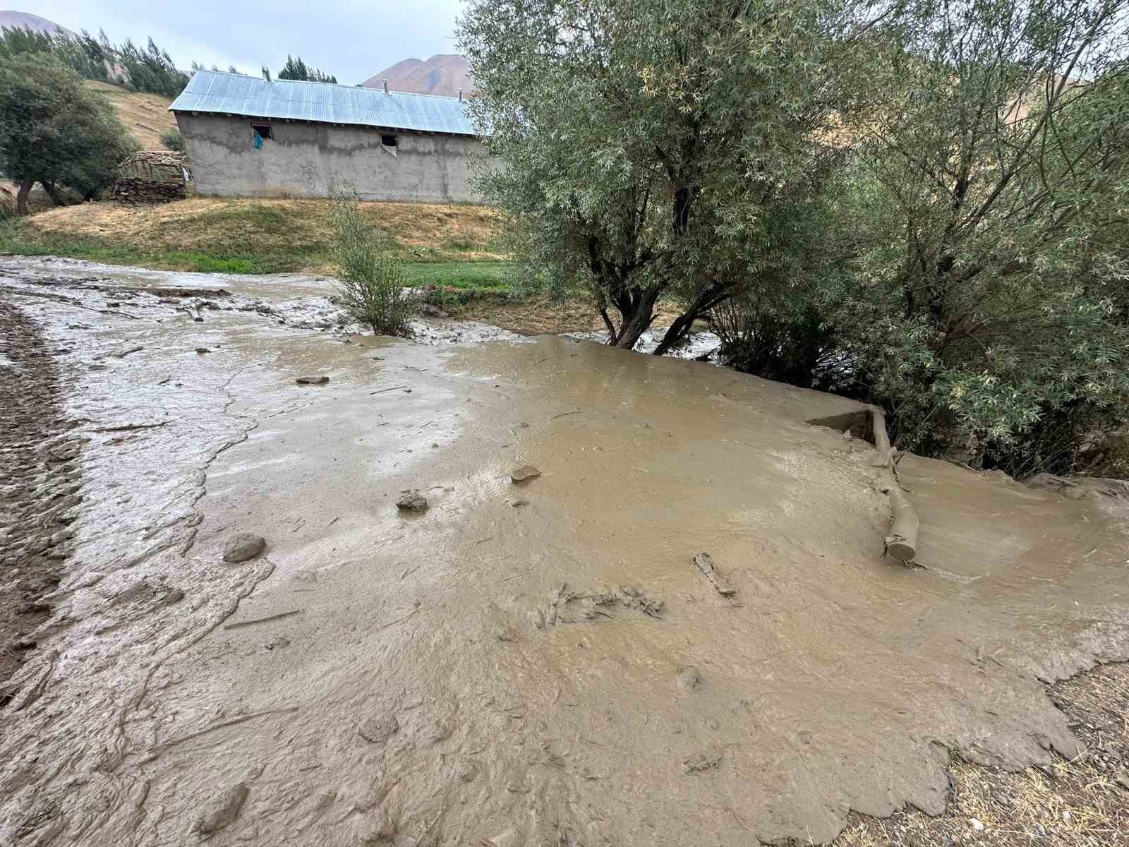 Yüksekova’da sel felaketi: Telef olan atının başından ayrılamadı