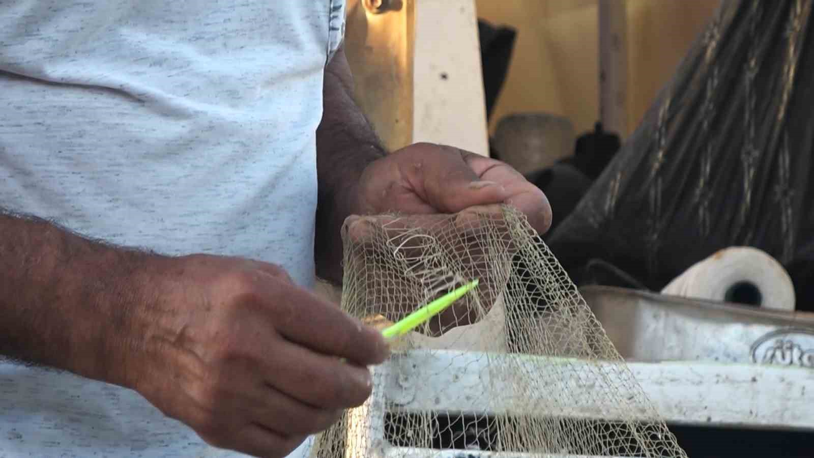 Yalova&rsquo;da balık&ccedil;ıklar hamsiden umutlu: &ldquo;Vatandaşımız bu yıl mutlaka balık yer. Bu sene hamsi bol&rdquo;
