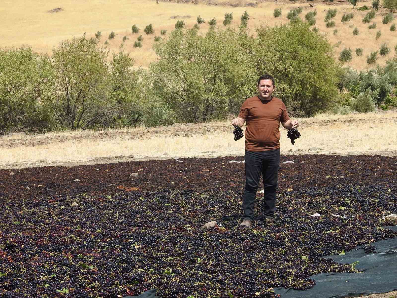 Sınırın sıfır noktasında tarlalar siyaha boyandı